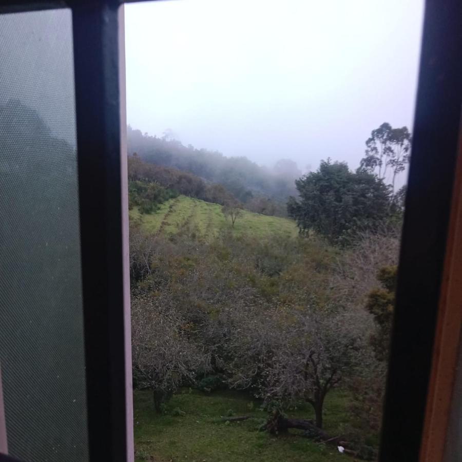 Olive Rooms Kodaikanal With Wifi, Spacious Rooms, Parking Exteriör bild